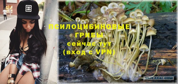 соль курить ск Алексеевка