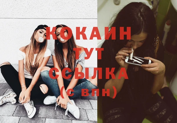 твердый Алзамай