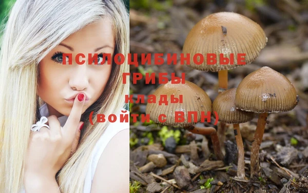 соль курить ск Алексеевка