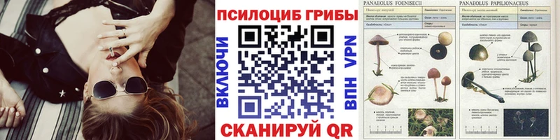 цена   MEGA вход  Галлюциногенные грибы мухоморы  Наволоки 